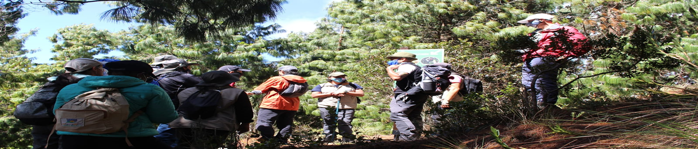 Day Trips from Bogotá — OACA Colombia
