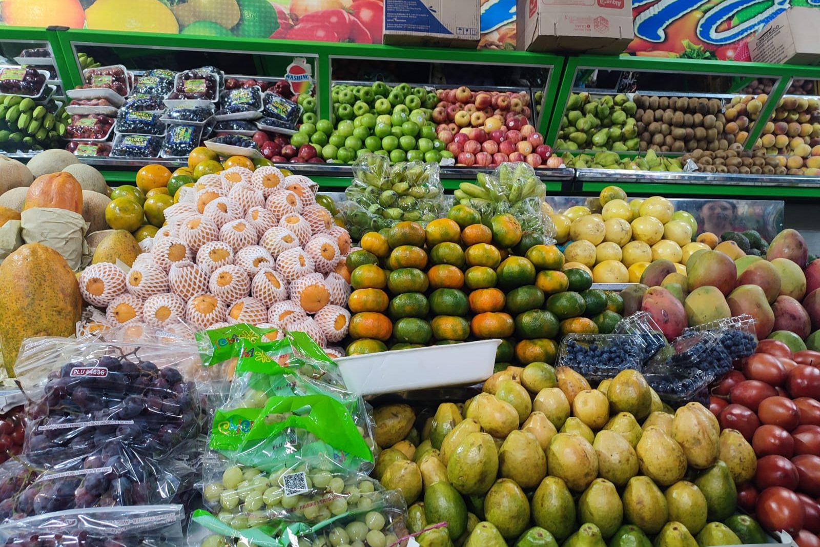 Fruit Tour at Plaza 7 de Agosto