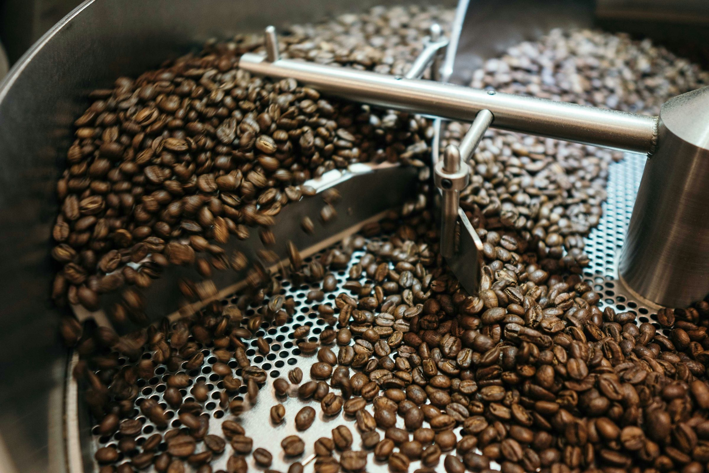 Coffee experience at a local organic farm near Bogota